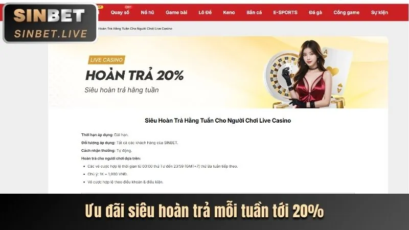 Hoàn Trả Cược Thể Thao & Casino Không Giới Hạn
